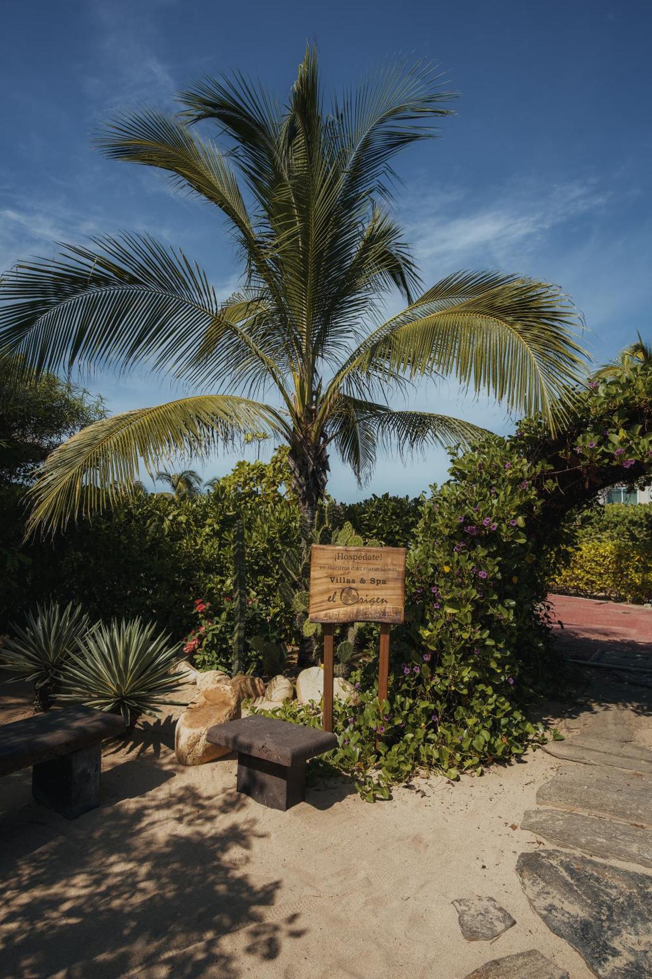 El Origen Villas & Spa-Puerto Escondido Puerto Escondido  Zewnętrze zdjęcie